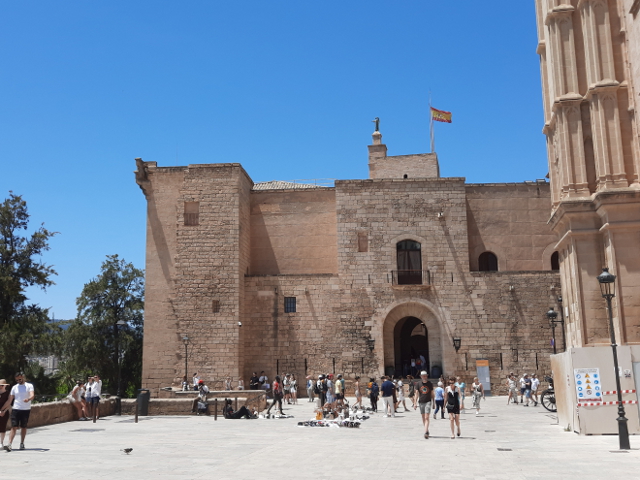 20250531_135736palma