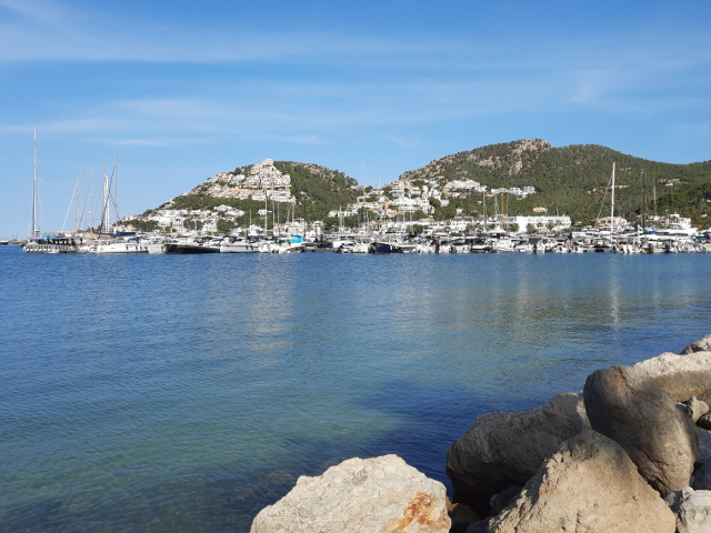 20250601_090211portdantdratx