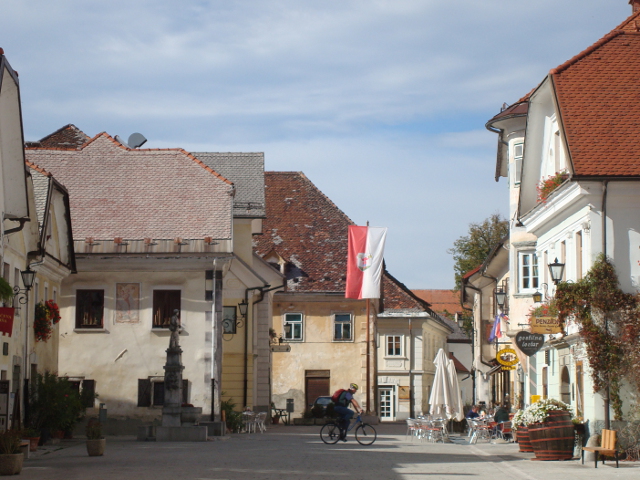 DSC03867radovljica