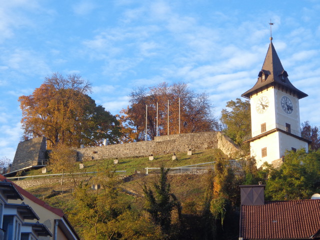 DSC07535bruckandermur