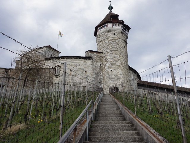 DSC07679schaffhausen