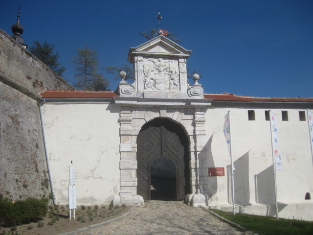 IMG_8727ptuj
