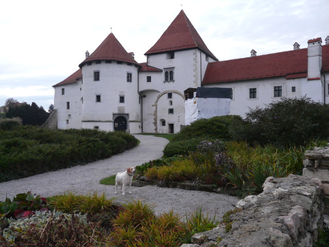 P1280985varazdin