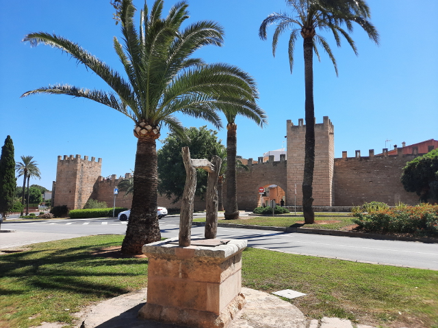 20260524_112622alcudia