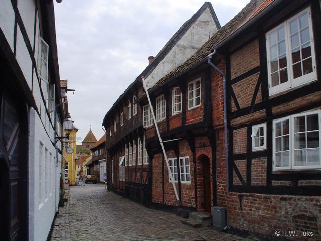 Dsc02132ribe