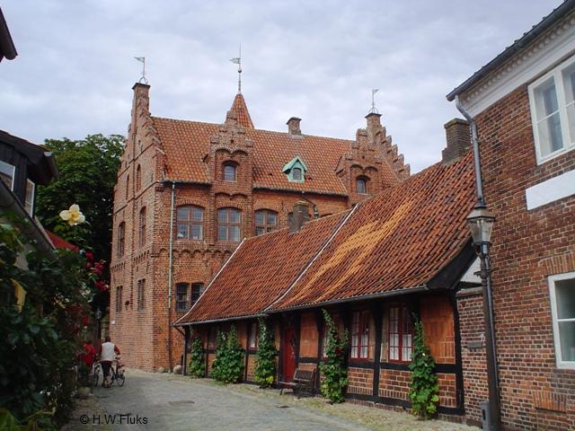 Dsc02133ribe
