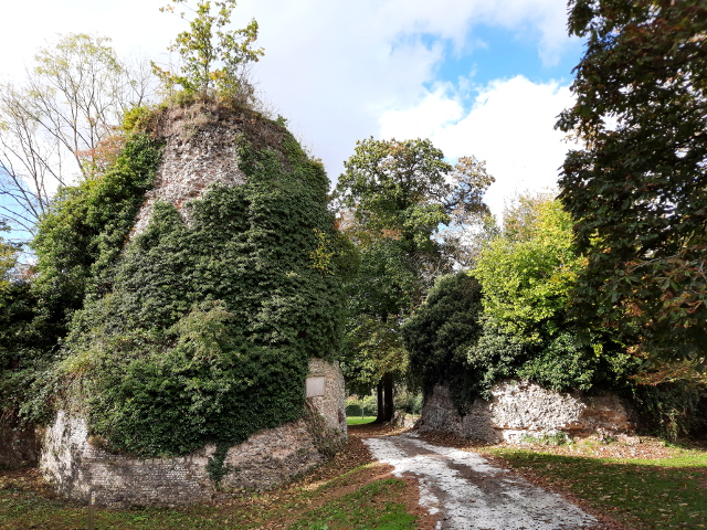 20231014_124955longuevillesurscie