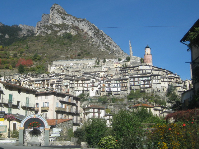 IMG_0845tende
