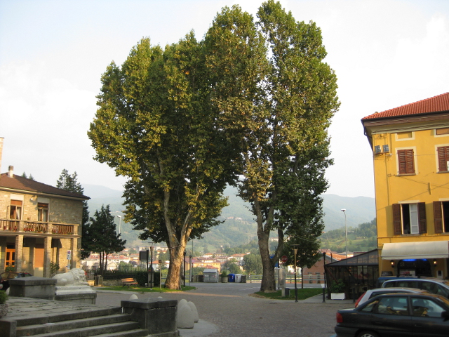 IMG_4668borgotaro