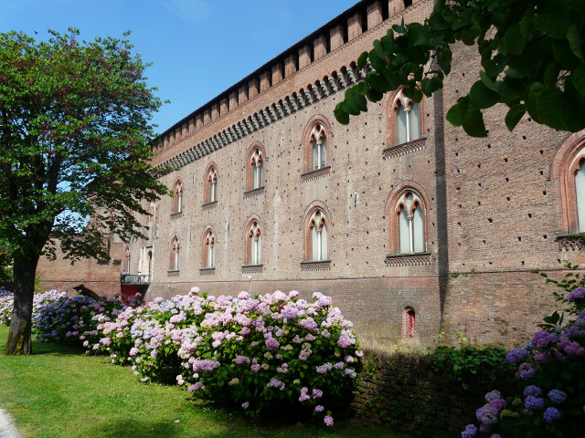 P1060953pavia