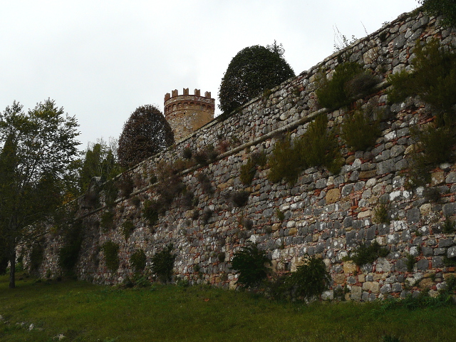 P1110482montefollonico