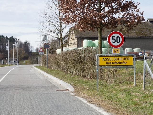 DSC03379asselscheuer