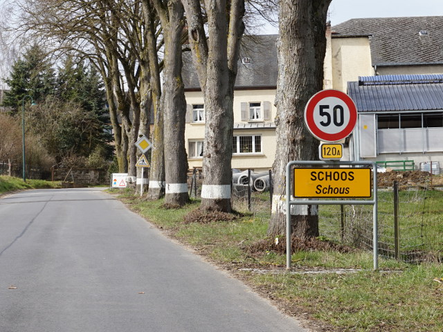 DSC03390schoos