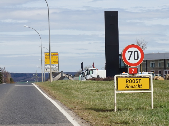 DSC03395roost