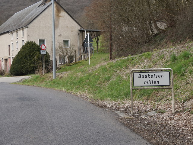 DSC03421boukelsermillen