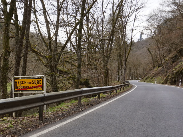 DSC03422bockholtzmoulin_e