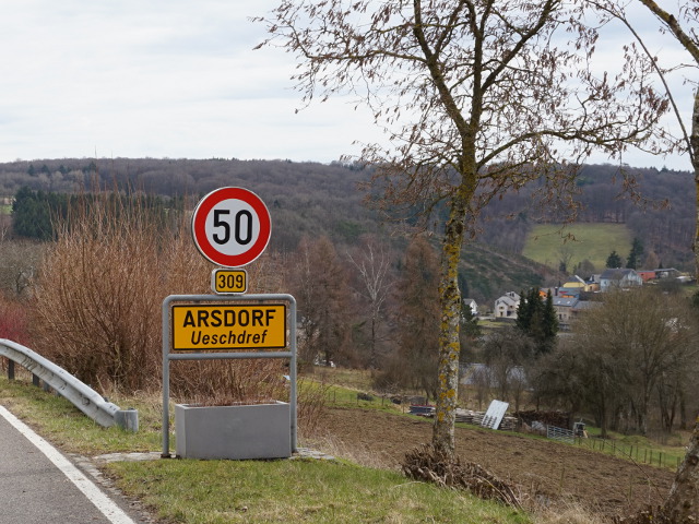 DSC03428arsdorf