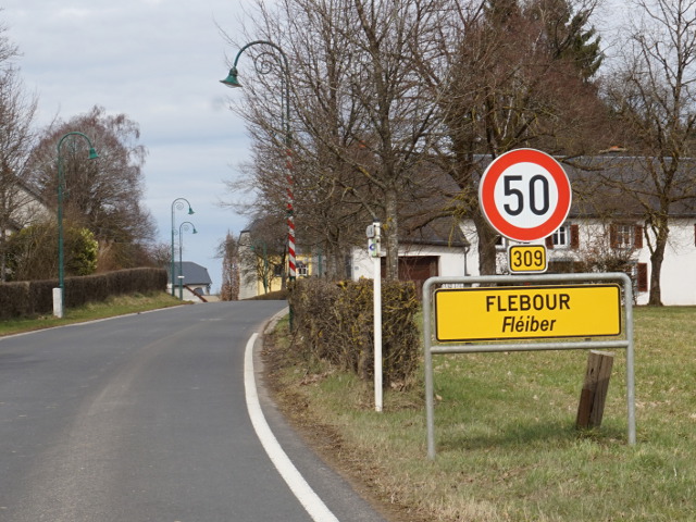 DSC03433flebour