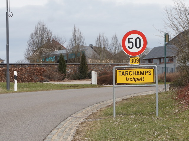 DSC03439tarchamps