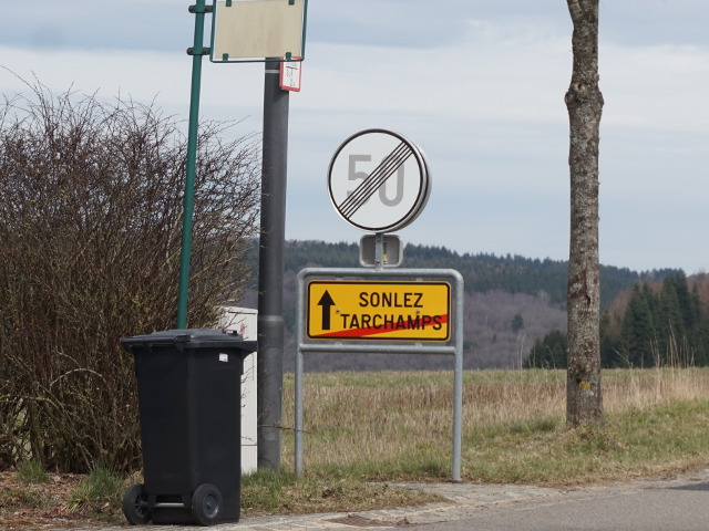 DSC03440tarchamps_e