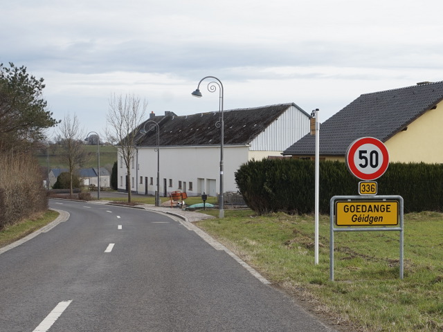 DSC03478goedange