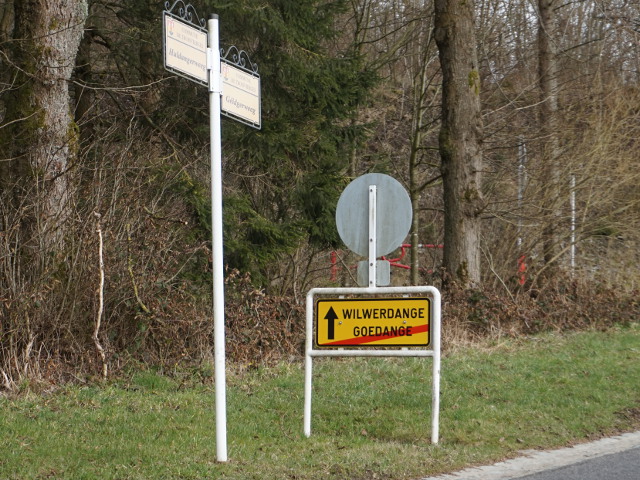 DSC03479goedange_e