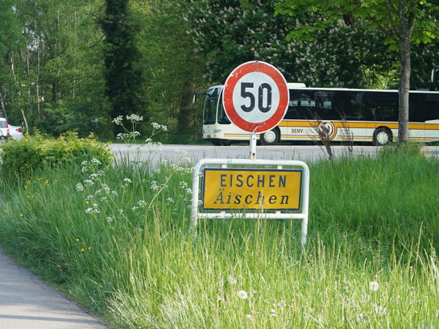 DSC04064eischen