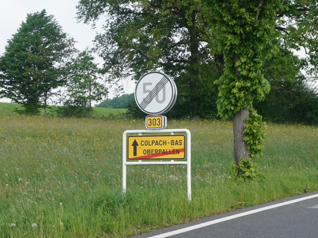 DSC04072oberpallen_e