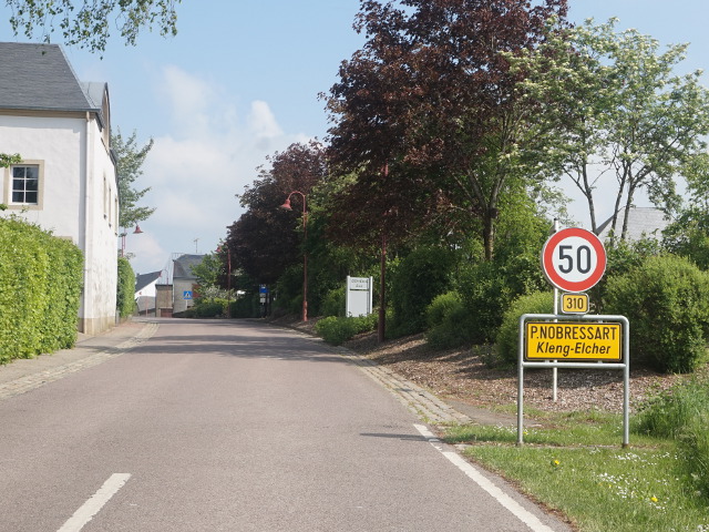 DSC04079petitnobressart