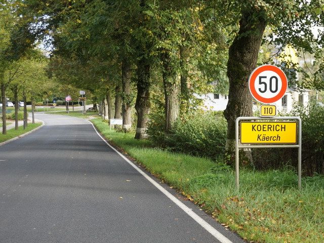 DSC05549koerichx110