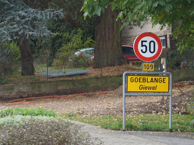 DSC05550goeblangex109