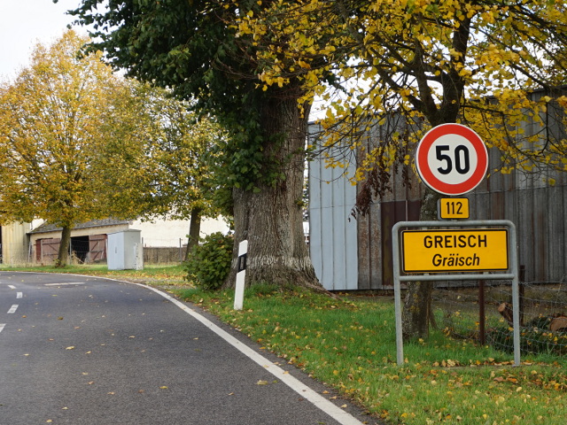 DSC05554greischx112