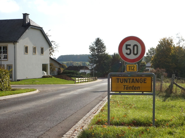 DSC05556tuntangex112