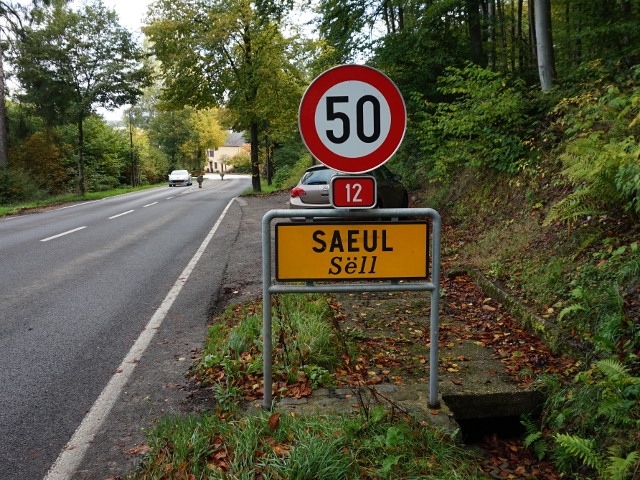 DSC05558saeuln12