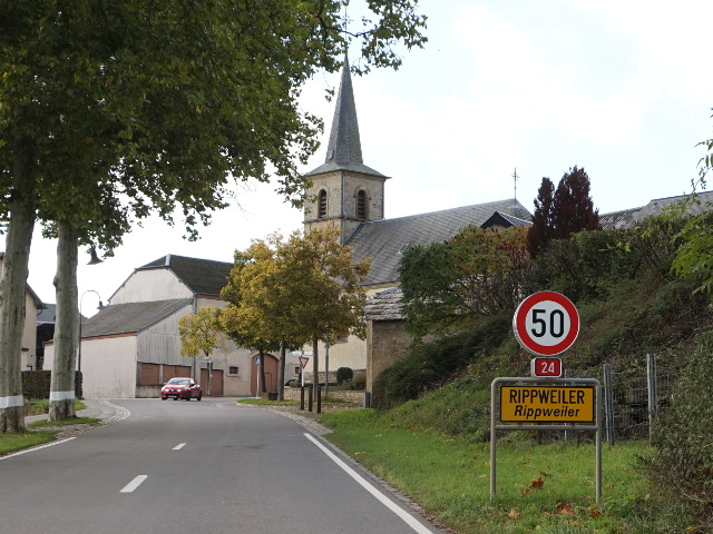DSC05565rippweilern24