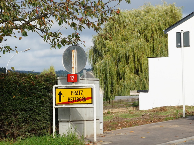 DSC05575bettbornn12_e