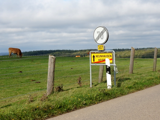 DSC05583heispeltx307_e