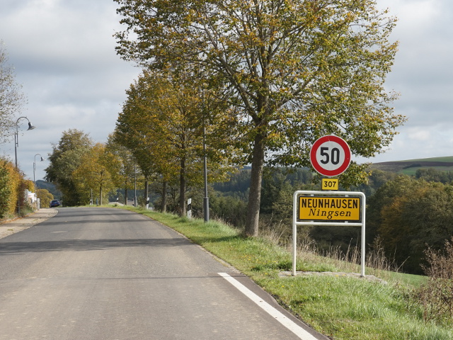 DSC05584neunhausenx307