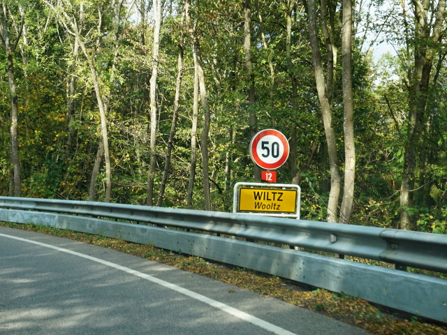 DSC05590wiltzn12