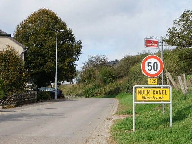 DSC05592noertrangex329