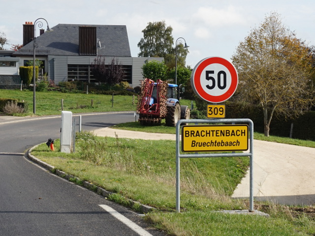 DSC05594brachtenbachx309