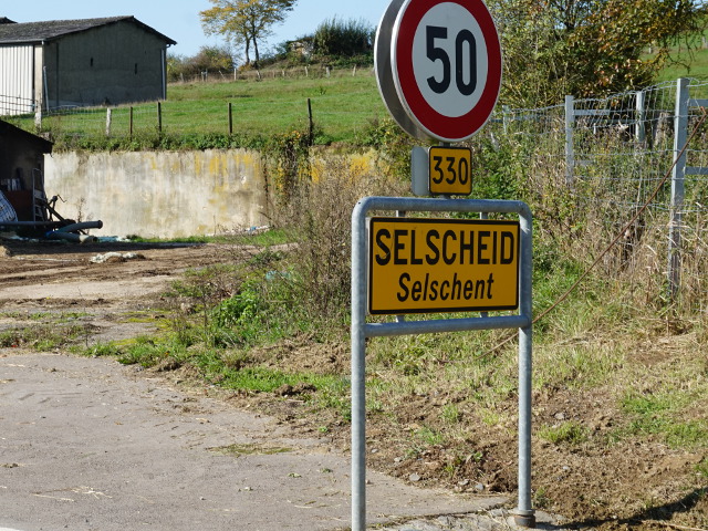 DSC05598selscheidx330