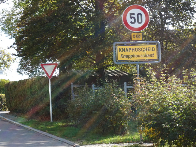 DSC05599knaphoscheidx330