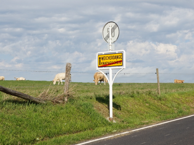 DSC05600knaphoscheid_e