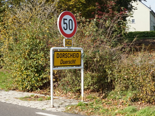 DSC05625dorscheidx343a