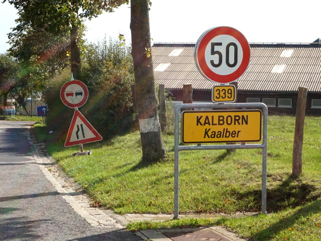DSC05629kalbornx339