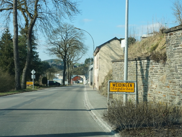 DSC06433weidingen