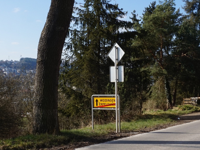 DSC06434erpeldange_e