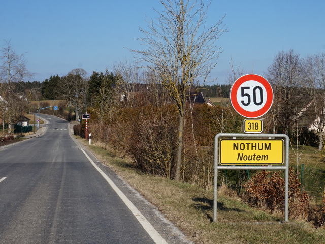 DSC06447nothumx318