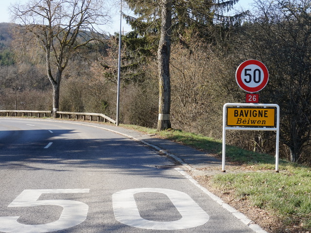 DSC06449bavignen26
